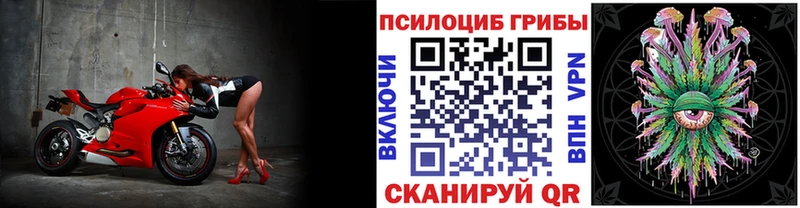 Псилоцибиновые грибы Cubensis  нарко площадка наркотические препараты  Староминская 
